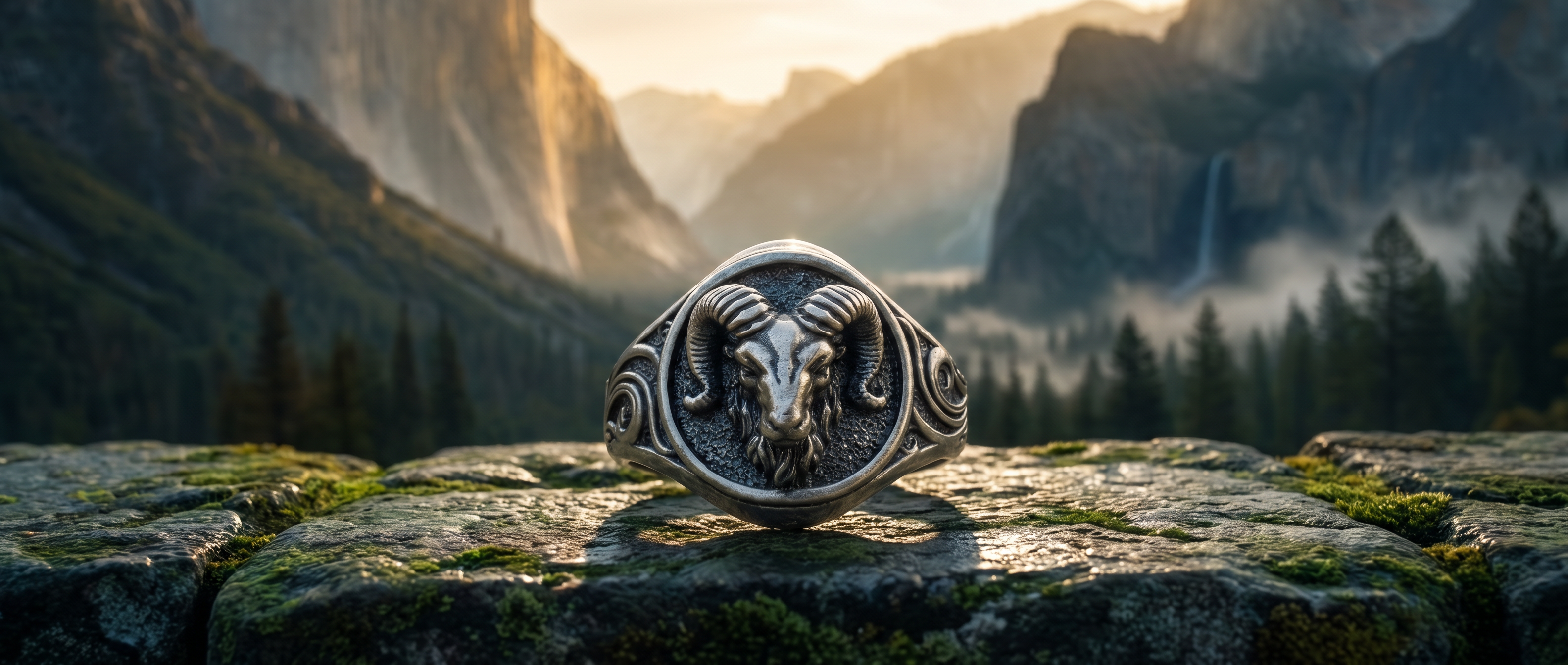 Zodiac Rings
