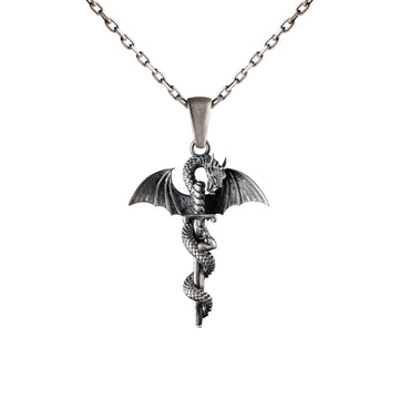 Coiled Dragon Sword Relief Motif Necklace